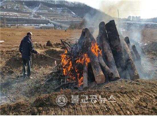 소나무재선충병 완전방제 총력추진