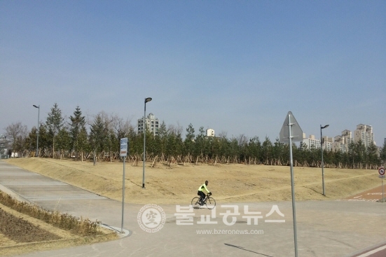 한강공원 편백나무 힐링 숲 삼림욕