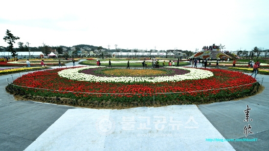 태안 꽃축제 캠핑장