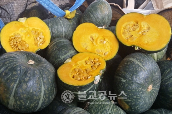 안동지역 단호박 수출 활발
