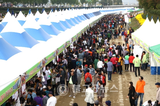 보은대추축제 인산인해 대박 예감