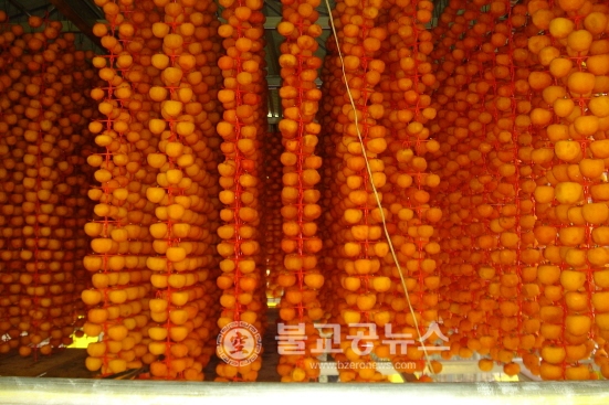 깊어진 단맛! 연풍 곶감 본격출시