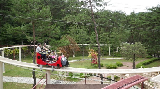 보은군, 속리산 솔향공원 스카이바이크 개장