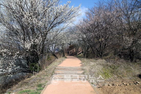 하동군, 섬진강 100리 테마로드 걸어요