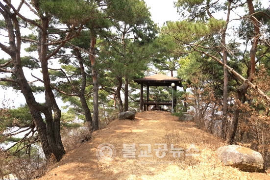 옥천 장자마을팬션..숲 속의 아늑한 휴식처