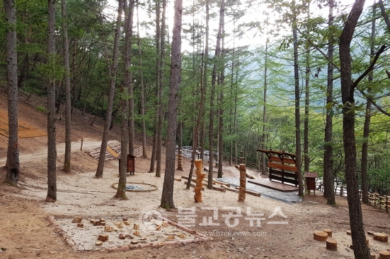 안동시, 풍천면 유아숲 체험원 조성