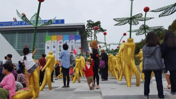 금산인삼엑스포 사진 찍기 좋은 곳 BEST5