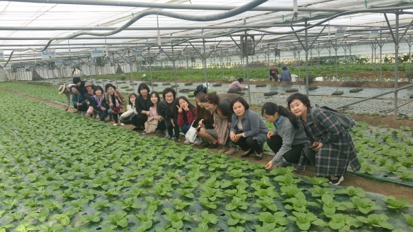 충북도, 소비자 단체 친환경농산물 생산‧유통현장 답사