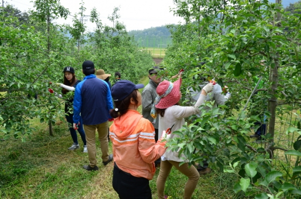 제천시, 농촌 일손돕기에 팔 걷어