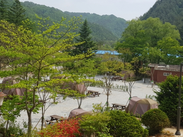 서울시, 경북 봉화에 7호 서울캠핑장 개장