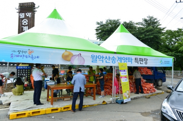 제천시 제16회 월악산 송계양파 축제 개막