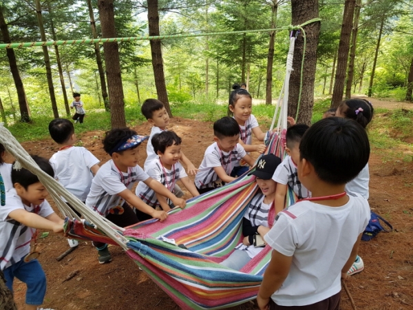 충북도, 유아숲체험원 오감 숲체험놀이 하세요