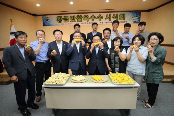 괴산군, 황금맛찰옥수수 시식회 개최