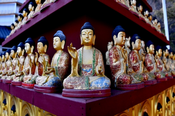 [힐링대담] 영동군, 추모공원   고당사 재단   혜정스님