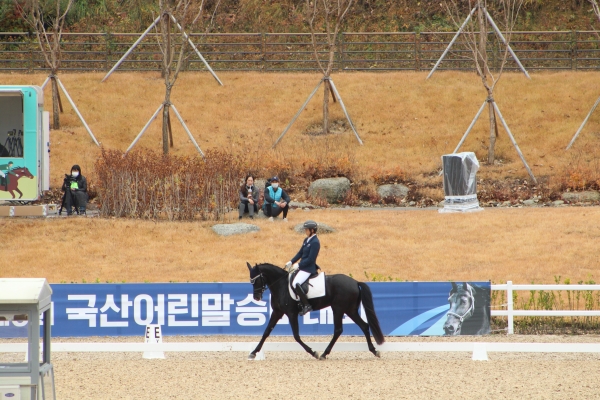철원 대암홀스랜드 생산 자마 승마대회를 휩쓸다!