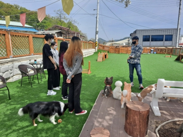 영동 담뿍사회적협동조합, 지역 반려동물 문화 선도