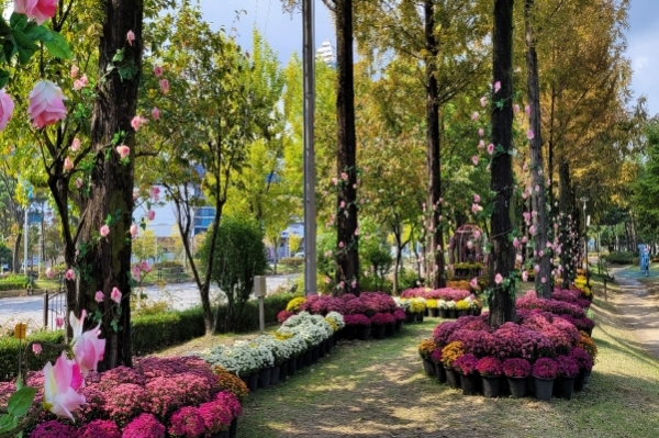 유성구, 유림공원 제12회 국화전시회