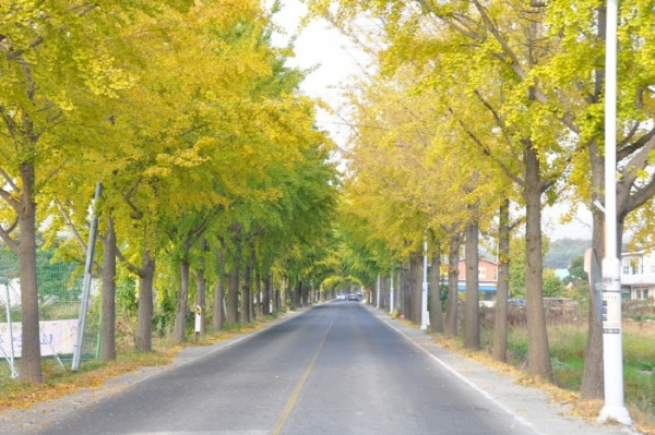 충남의 아름다운 드라이브길 10선 선정