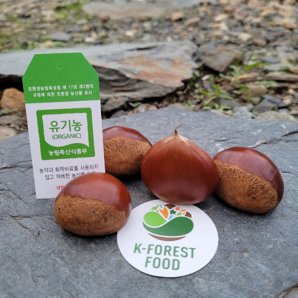 부여군, K-FOREST FOOD 홍보 나서