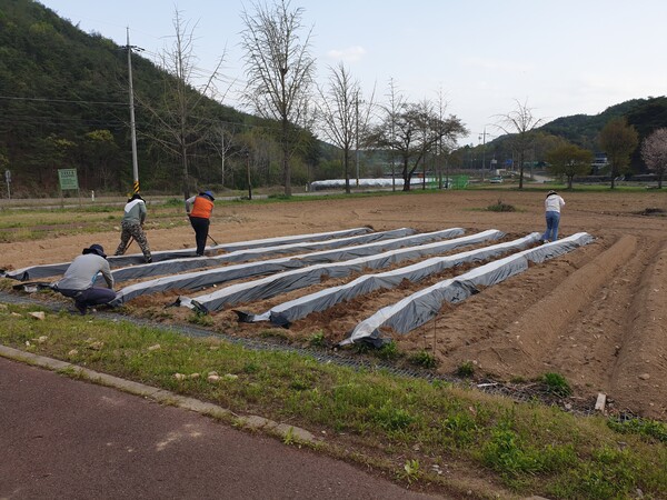 영동군, 농촌에서 살아보기 호응 짱!