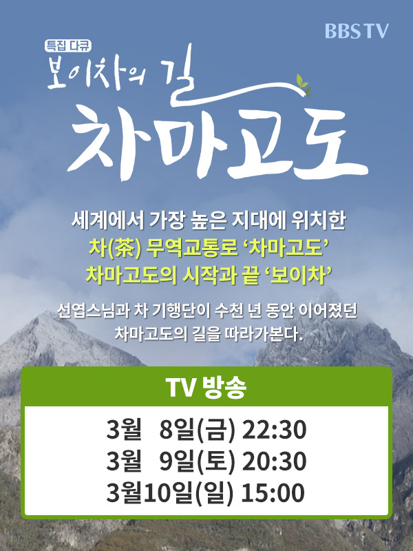 BBS TV 봄맞이 특집 다큐 보이차의 길, 차마고도