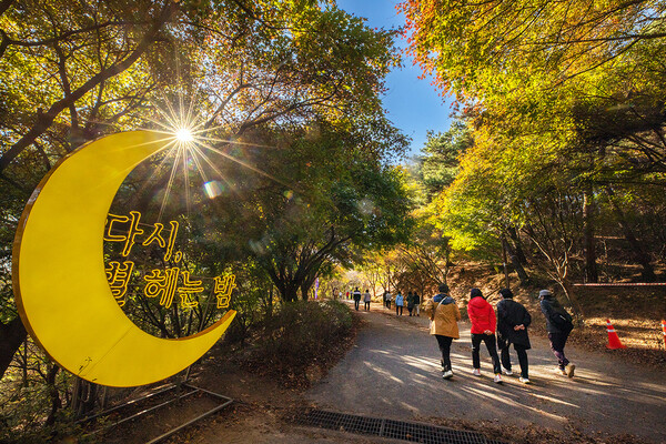 독립기념관, 2024 야간개장별 헤는 밤시즌 1 개최