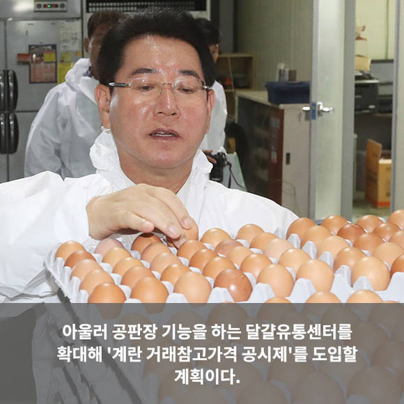 [카드뉴스] 산란일자 표시 등 안전관리 강화