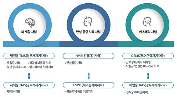 테슬라 상장 리메드 전자약 통해 뇌질환·에스테틱 시장 공략