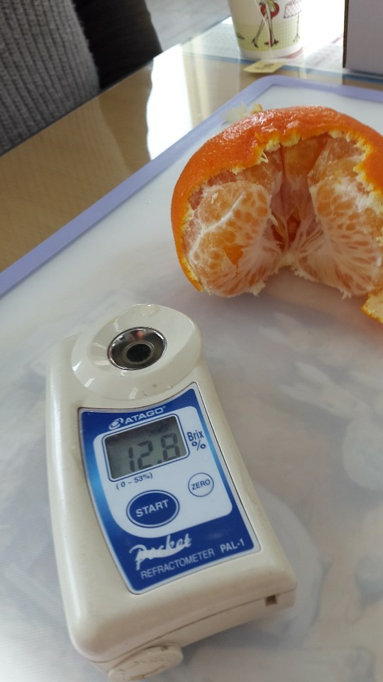 [농가현장] 합천에도 레드향, 특별히 맛난 이유는… 대성농장 권태성 대표