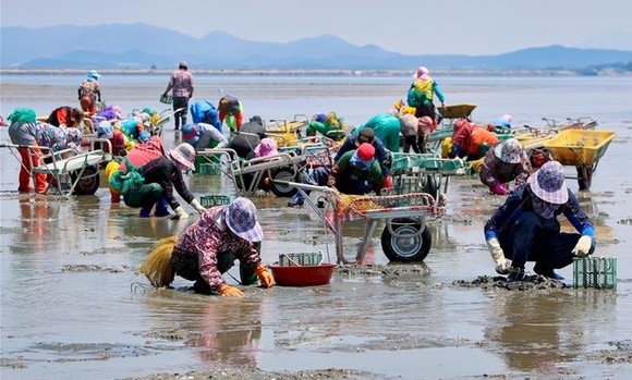 [브리핑 한국어촌어항공단] 영덕군과 백석항 어촌뉴딜사업 건축설계 제안 공모