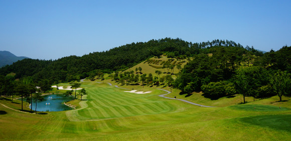 [골프홀릭] 보이스캐디·XGOLF·골프존 외