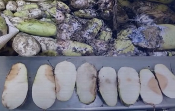 불량김치 불똥에 유통업계 한성식품 김치 판매 중단