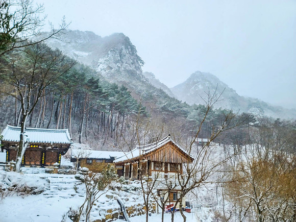 [포토] 팔공산에 봄 시샘 눈 내려