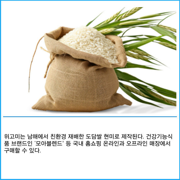[카드] 바이오메디칼, 국내 품종 도담쌀 위고미 출시