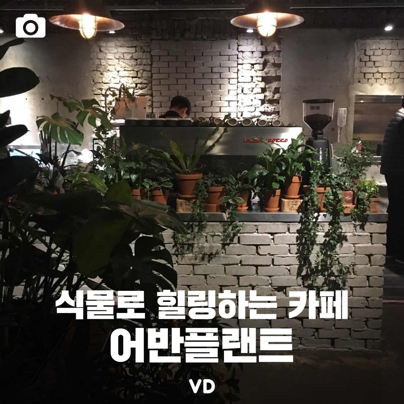 [포토뉴스] 식물로 힐링하는 합정 카페 – 어반플랜트