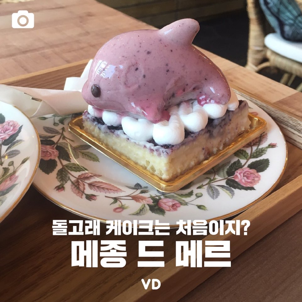 [포토뉴스] 돌고래 케이크는 처음이야 – 카페 메종 드 메르