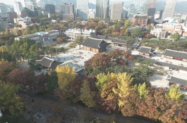 왠지 그리움이 고픈 날, 호젓한 돌담길 걸어보세요