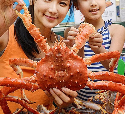 노량진 수산시장 시세 이하 킹크랩 가격 폭락 어쩌다가?