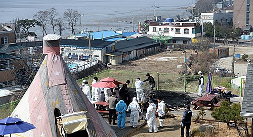 與野 강화도 캠핑장 화재, 재발 방지에 만전 기해야