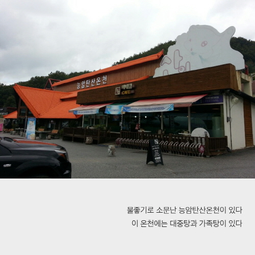 은빛 갈대들이 나폴대는 충주 비내섬