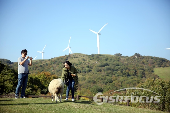 황금 연휴의 초대... 강원도 평창 삼양목장