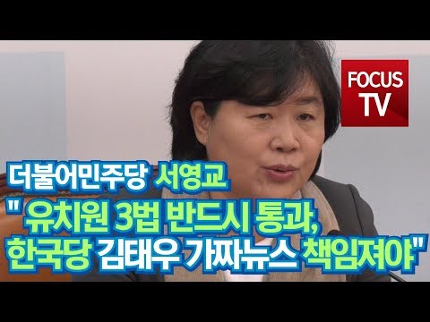 [영상] 서영교, 유치원 3법 반드시 통과되어야…김태우 사건 '자유한국당' 가짜뉴스 책임져야