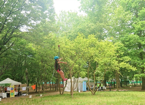 산림청, 국내 최대 숲문화 축제 2019 휴(休) 어울림 페스티벌 성황