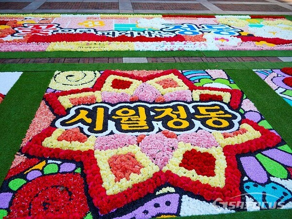 [포토] 인피오라타 꽃 카페트 꽃으로 피어나는 정동