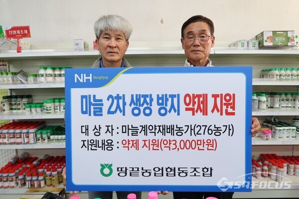 땅끝농협, 마늘 계약재배농가…2차생장 방지 약제 무상 지원