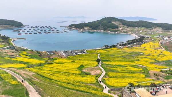 완도 청산도, '2024 한국 관광의 별' 선정
