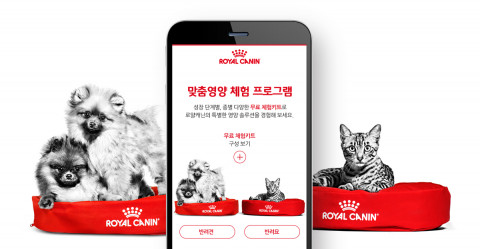 이든앤앨리스마케팅, ‘웹어워드 코리아 2020’ 4개 부문 석권