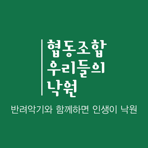 협동조합 우리들의 낙원, 새해 첫 ‘반려악기’ 기부