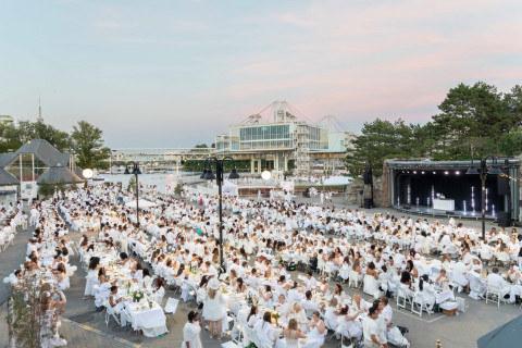 ‘디네앙블랑 서울 2024’ 9월 6일 일반 참가 등록 시작