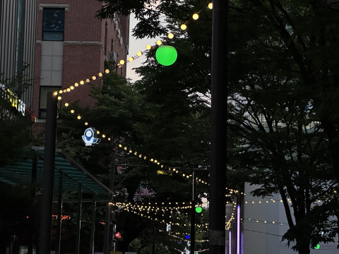 성남시 ‘까리단길 조명사업’ 완료… 야간 보행환경 개선 및 상권 활성화 기대